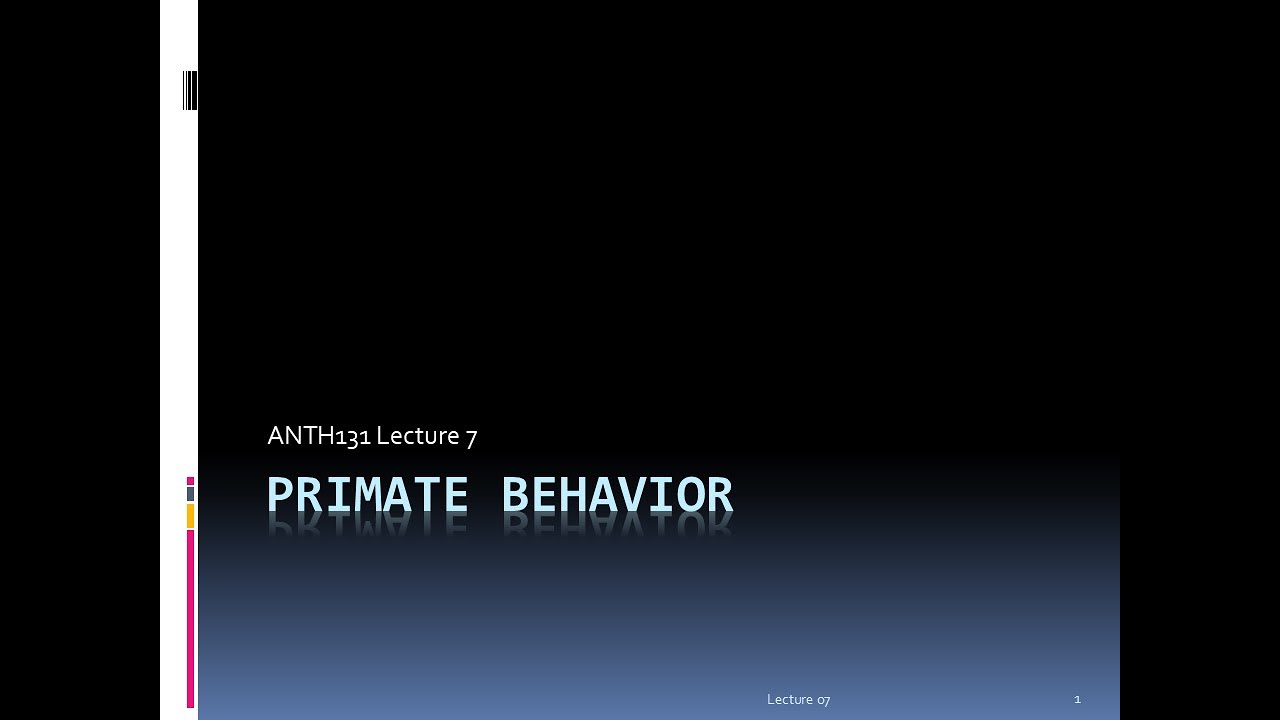 Lecture 07 - Primate Behavior