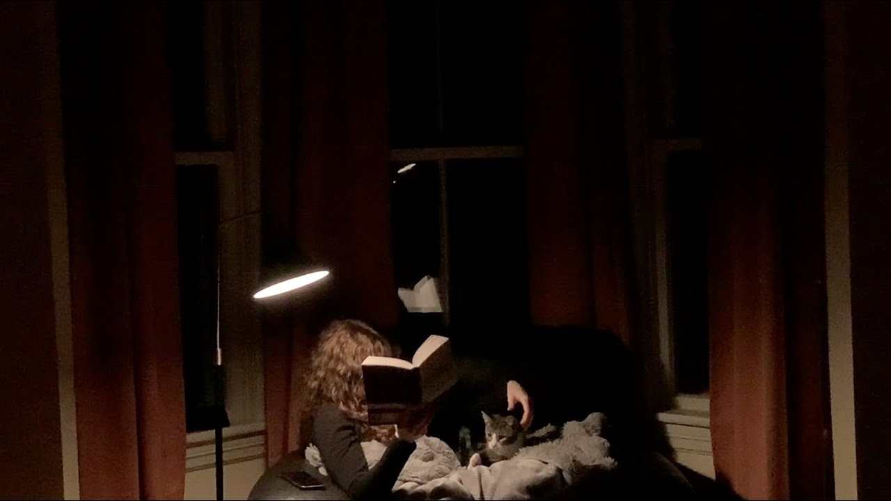 Let's Finish Wuthering Heights Before the Movie Comes Out | Read With Me (1 Hour, Rain Sounds) Day 7