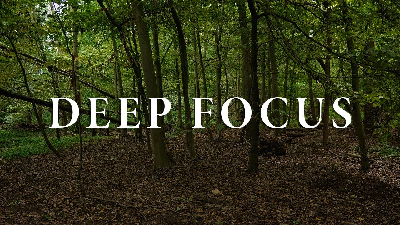Deep Focus Piano &ndash; 2 Hours of Pure Concentration Vol 2