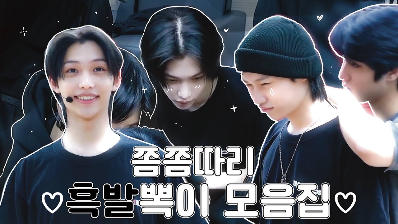 [스트레이키즈/필릭스] 쫌쫌따리 흑발뽁이🐈‍⬛ 모음zip