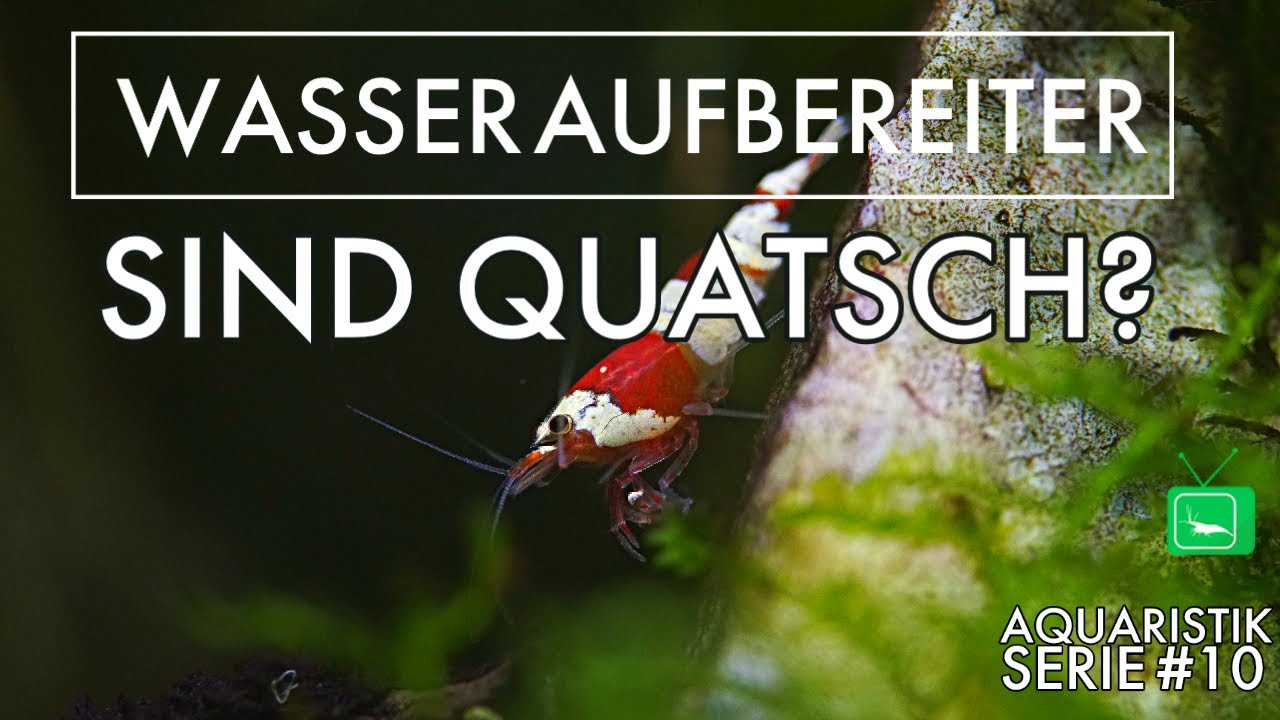 Wasseraufbereiter im Aquarium | Benötige ich Wasseraufbereiter? | GarnelenTv