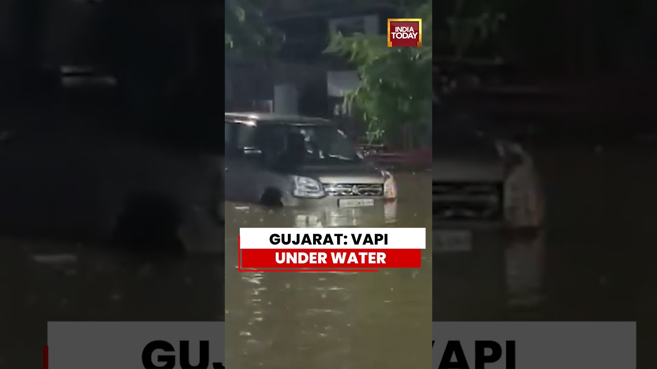 Gujarat Rains: Severe Waterlogging Floods Vapi Markets, Shops Suffer Heavy Losses | #gujarat #rain