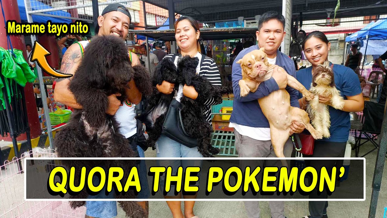 MARAME PA SILANG GANITO / GROTTO SCENE / BAGONG SELLER MAY DALANG DOBERMAN