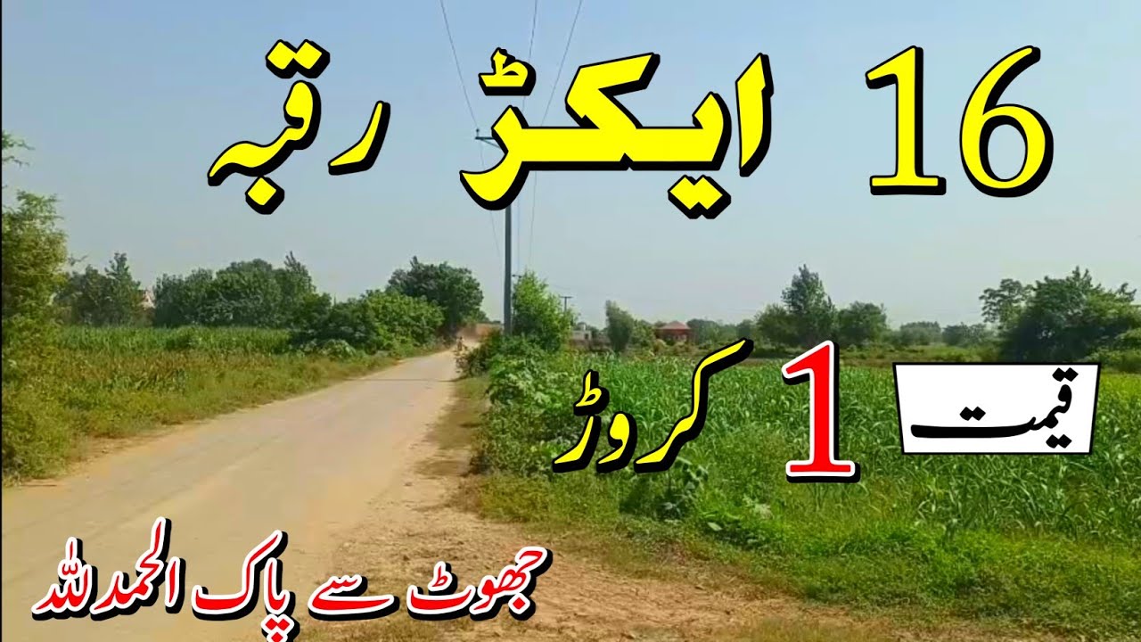 16 Acres Agriculture land for sale | Land for sale in punjab pakistan | Episode 147