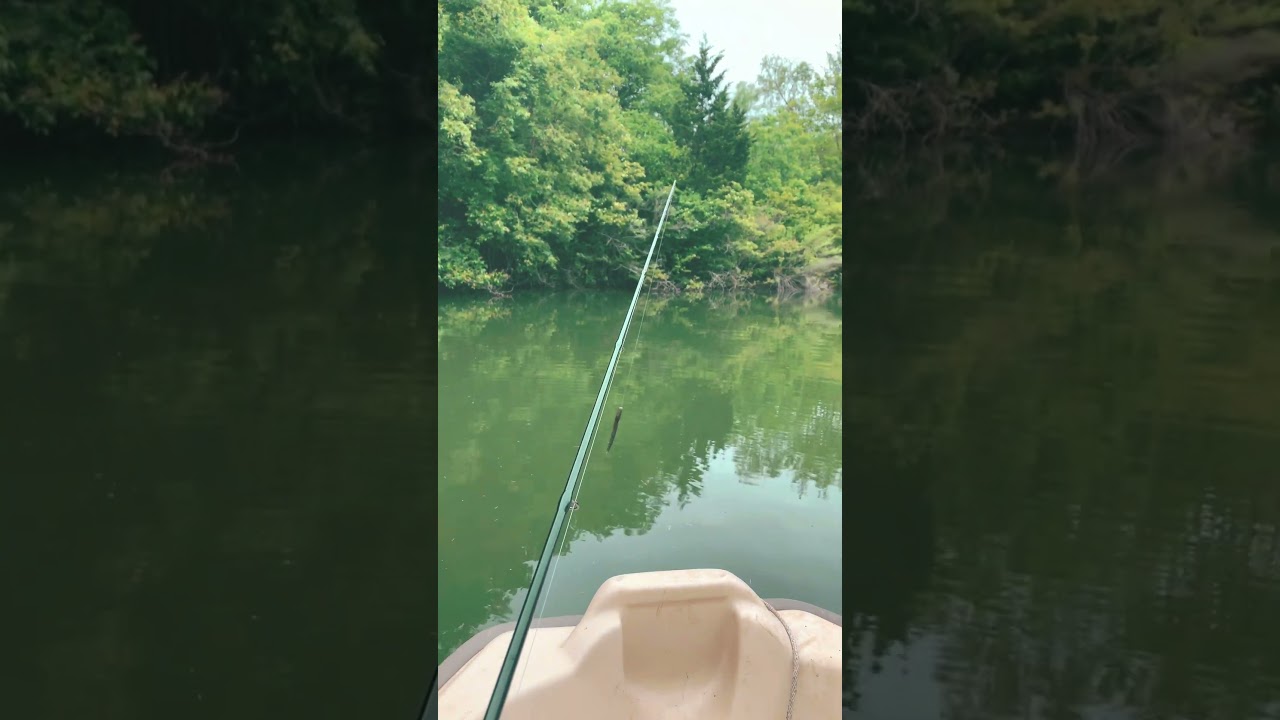 Where&rsquo;s Your Favorite Fishing Spot? #idktevdidit #fishing #fishingspot