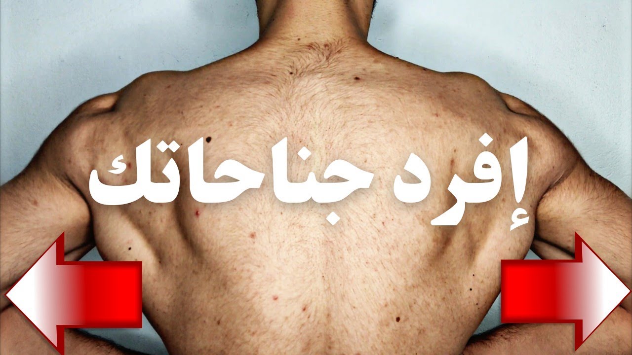 ازاي تفرد عضلات المجنص | أجنحتك التي لا تعرف عنها الكثير