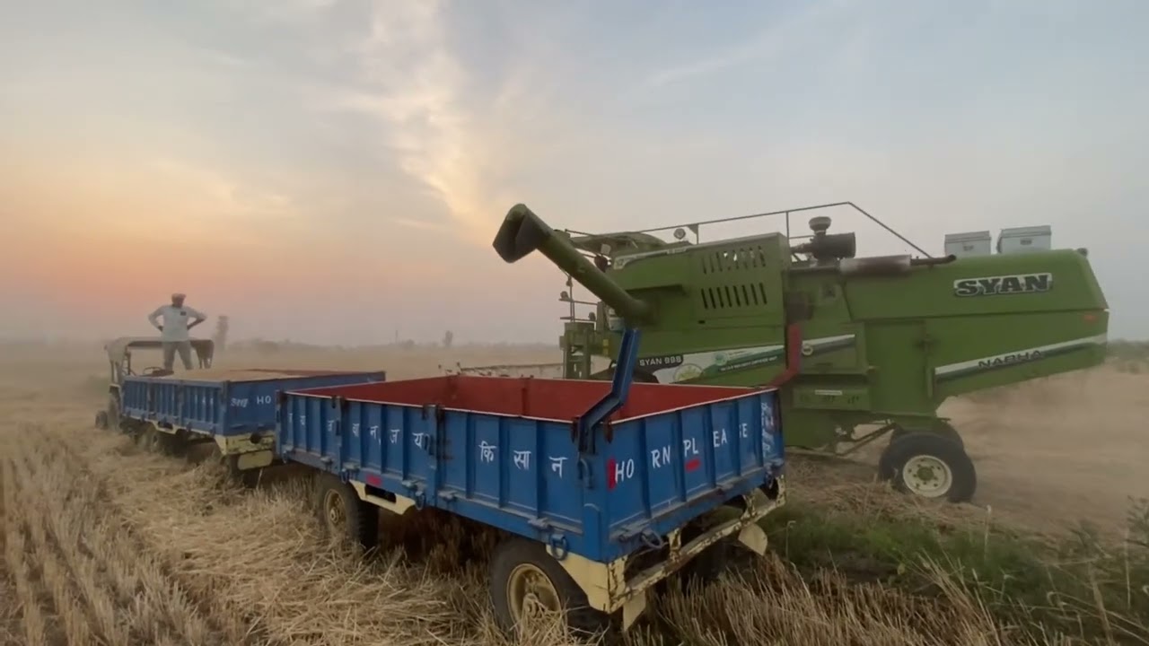 गेहूं कटाई #farming #kisan #vlog