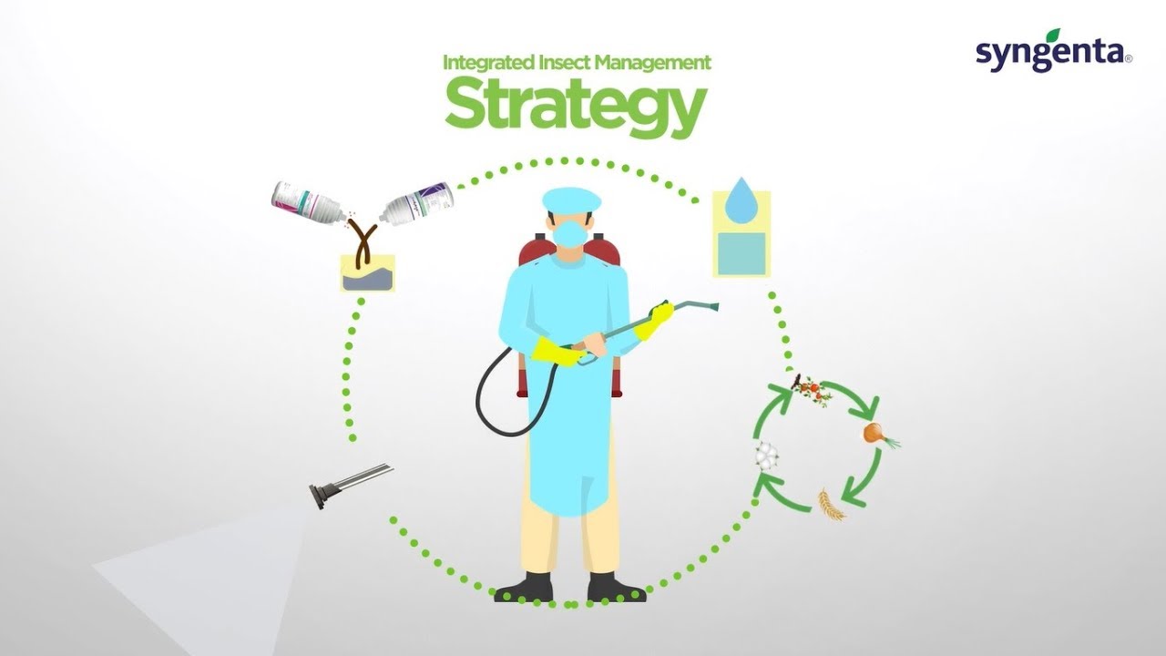 Syngenta Pakistan Integrated Pest Management Strategy - 2019