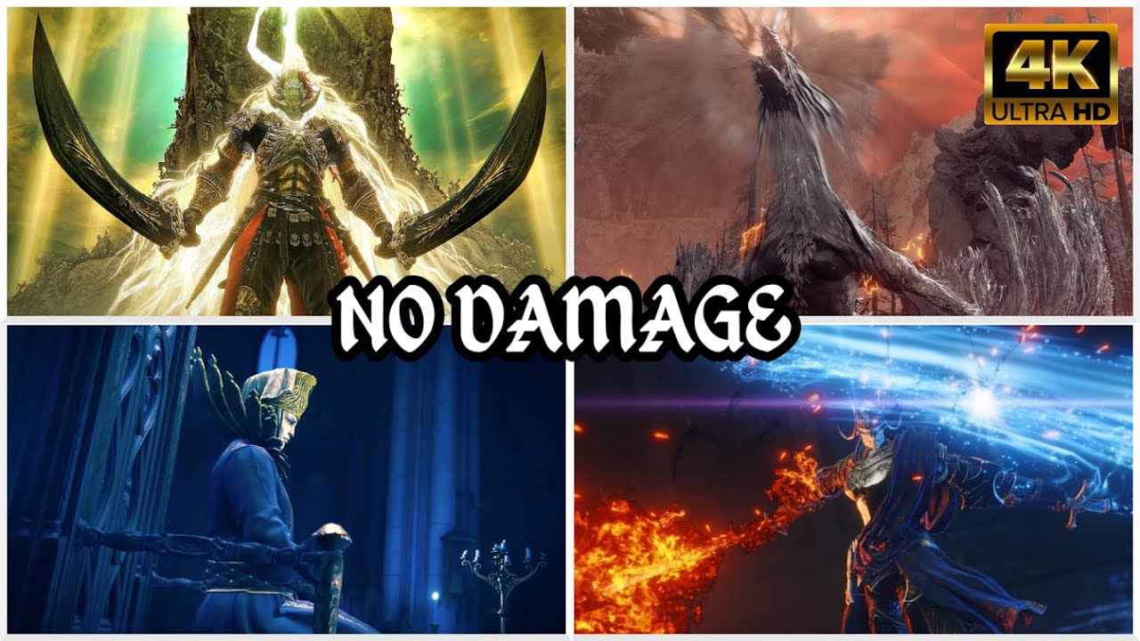 Elden Ring DLC | All DLC Bosses (NO DAMAGE) + True Ending [4K]