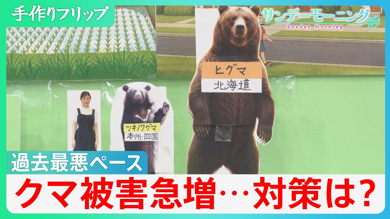 襲われると&ldquo;死亡率24％&rdquo;&nbsp;熊被害が過去最悪ペースで急増　求められる「個体数の管理」と「出没させない取り組み」とは【サンデーモーニング】｜TBS&nbsp;NEWS&nbsp;DIG