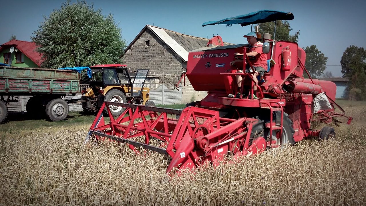 Żniwa 2015 ㋡ Massey Ferguson 86 & Ursus c360 3p ☆ MafiaSolec