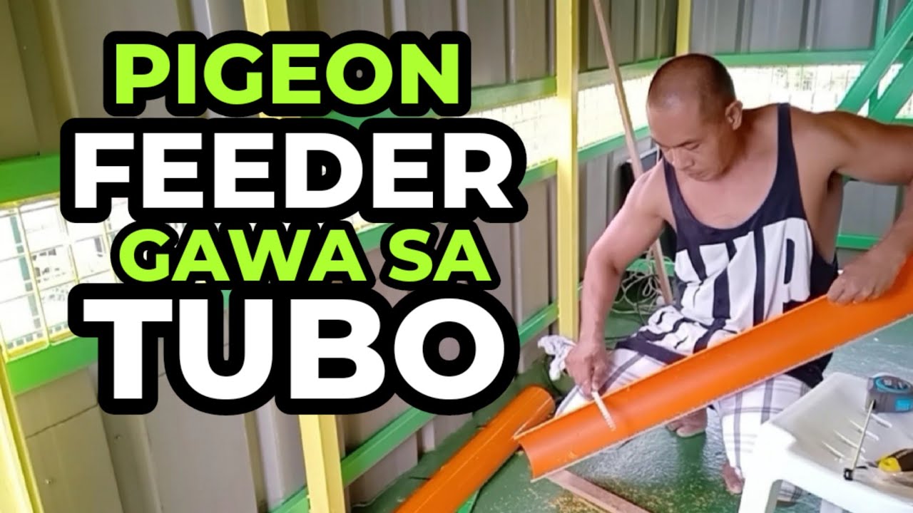 PIGEON FEEDER GAWA SA TUBO | SOLID ANG TIBAY