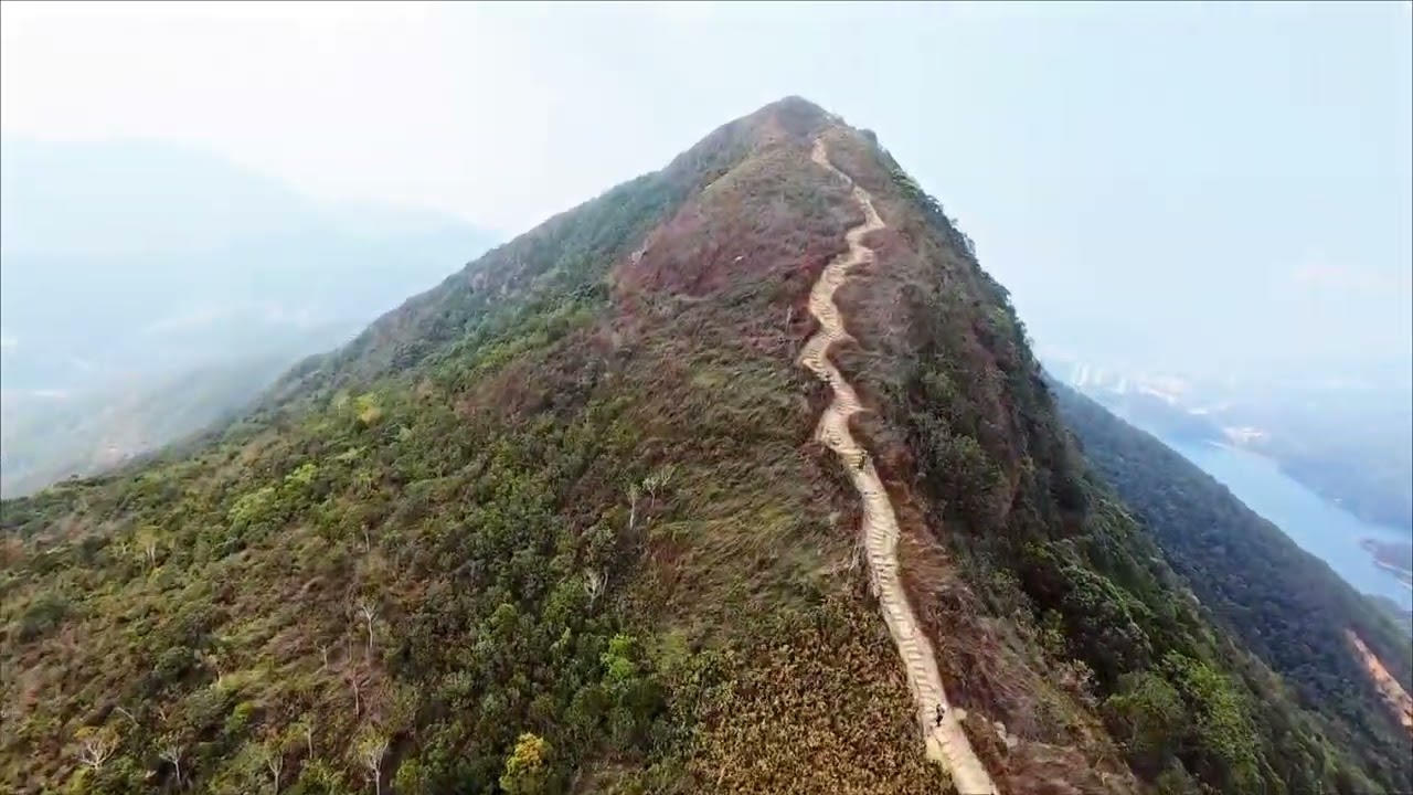 Dc5 ~ 針山Needle Hill