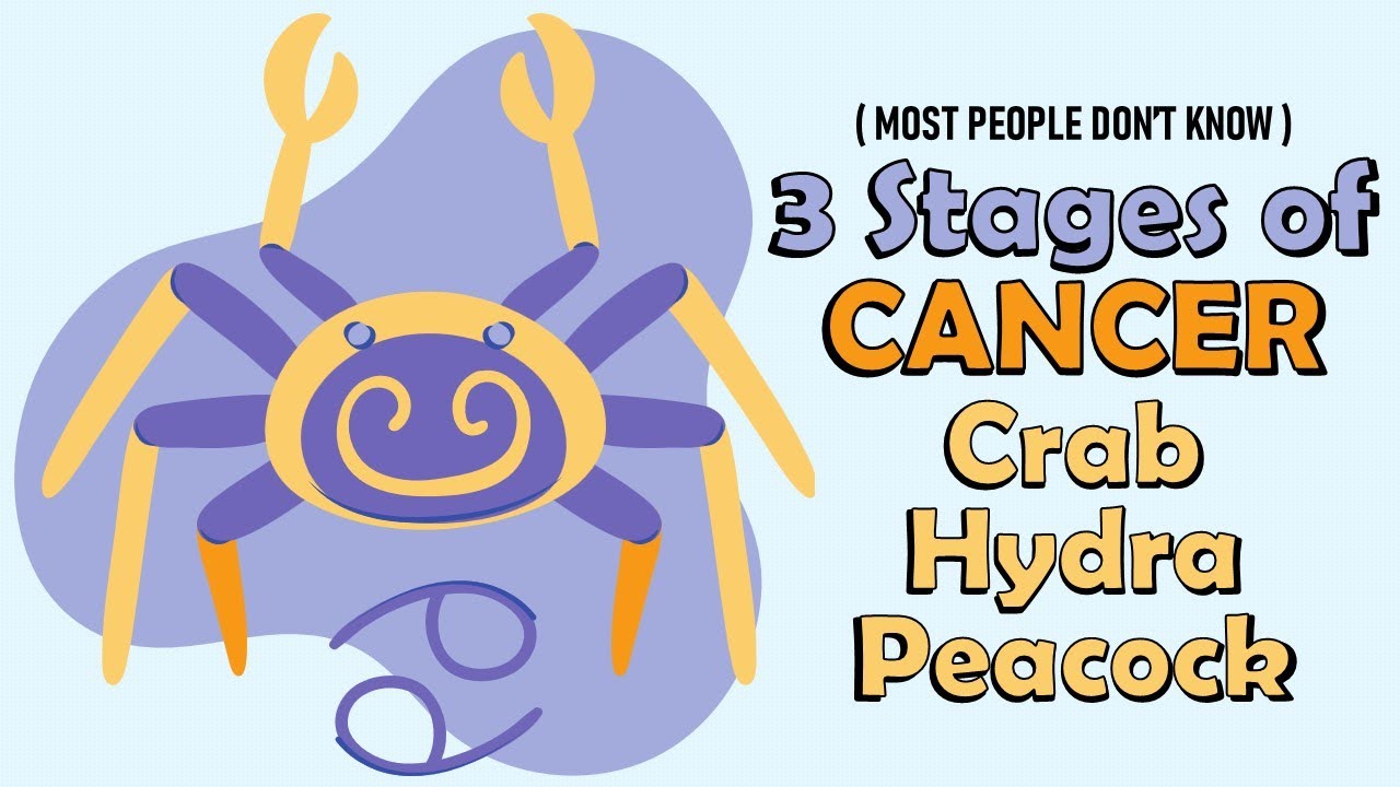 3 Stages of CANCER Zodiac Sign