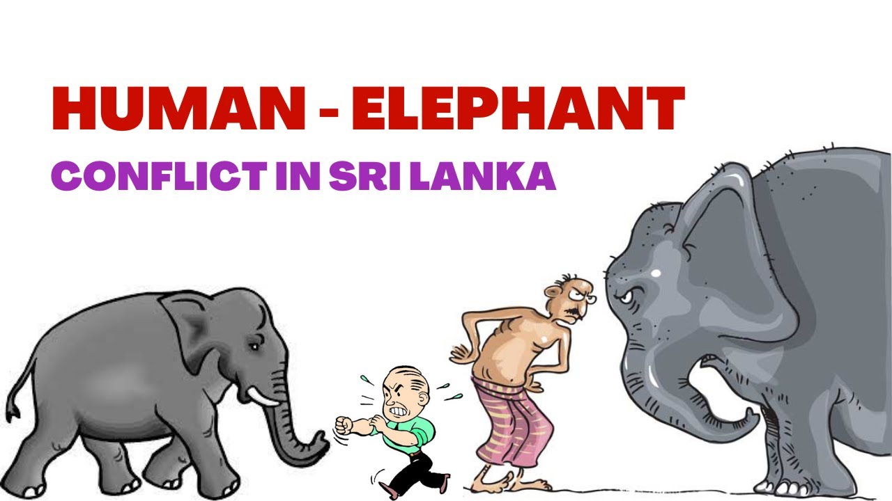 Human &ndash; Elephant Conflict in Sri Lanka