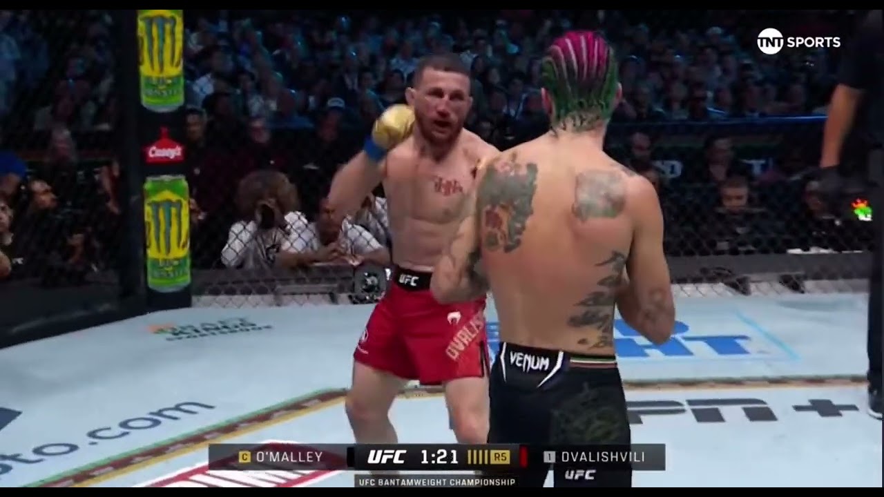 Sean O&rsquo;Malley hurts Merab with a kick to the body