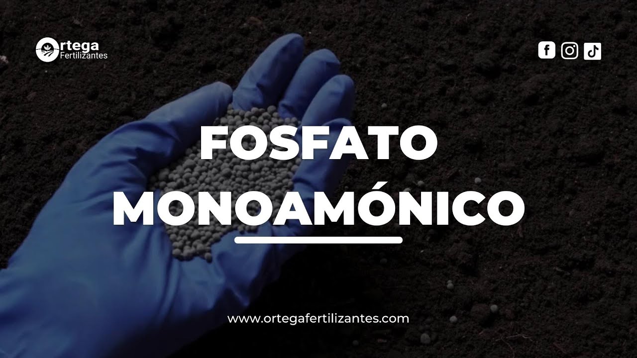FOSFATO MONOAMÓNICO (MAP) - ORTEGA FERTILIZANTES