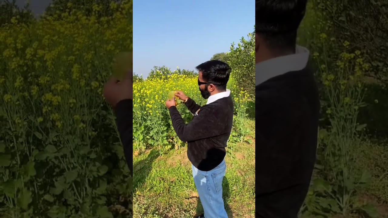 Veer Vikas sir - FARMERS LOVE AGRICULTURE #farmerslove
