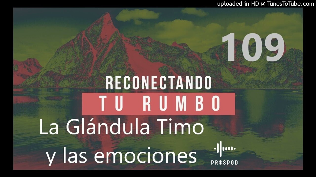 Reconectando Tu Rumbo - La glándula Timo y las emociones 109