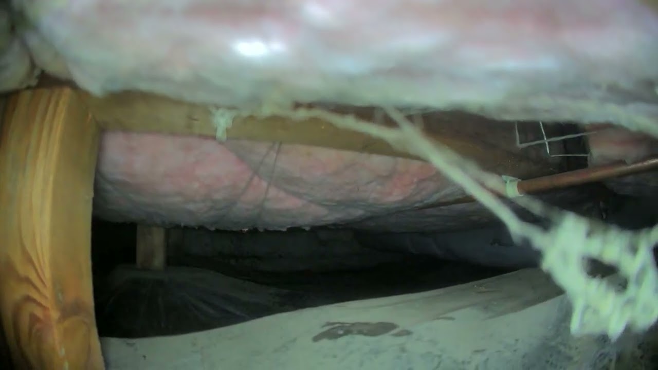 Crawlspace SW Arbor Lake DR
