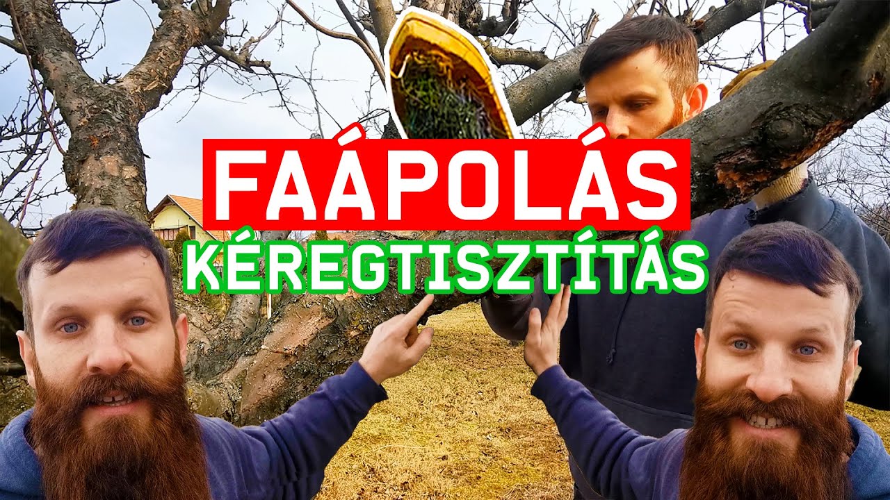 FA&Aacute;POL&Aacute;S: a k&eacute;regtiszt&iacute;t&aacute;s, avagy a kef&eacute;l&eacute;s j&oacute;t&eacute;kony hat&aacute;sai