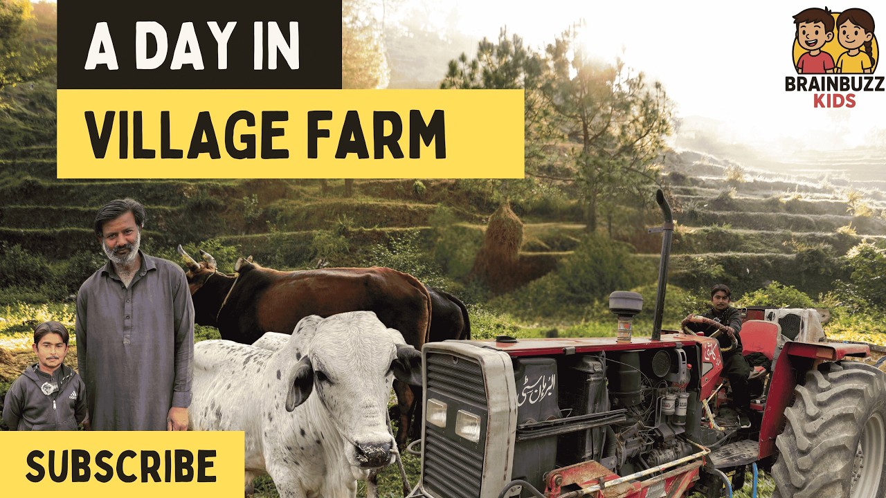 EK din Village Farm #brainbuzzkids #funny #cow #comedy