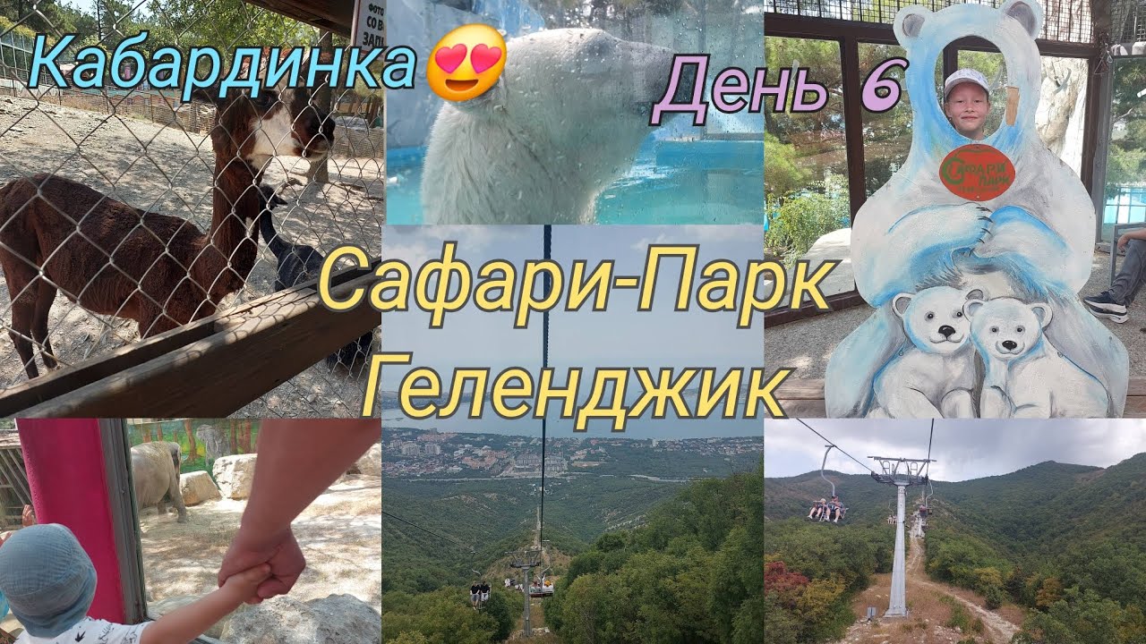 Кабардинка 2025🏖️/07.08.2025 Сафари-Парк, канатная дорога Геленджик🦁🐻❤️