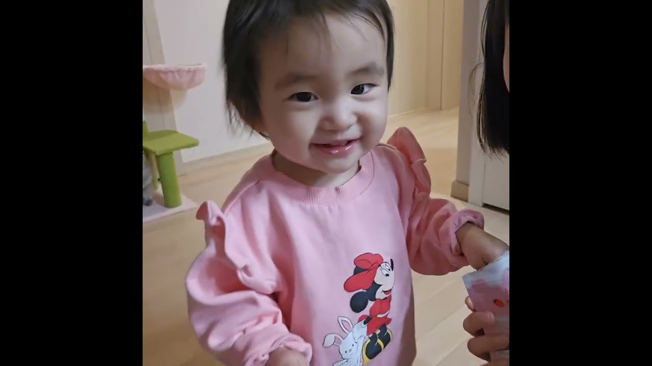 우리집 귀염둥이들 영상 티끌모으기