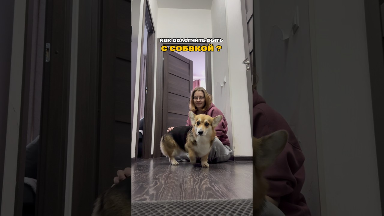 Облегчить жизнь помогают: Арт. WB: 211393211 нейтрализатор; Арт. WB: 248237382 пенка 