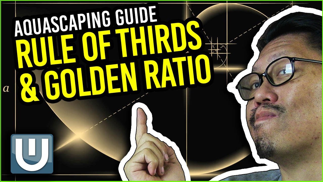 Aquascaping Guide - Rules of Thirds and Golden Ratio | Part 02