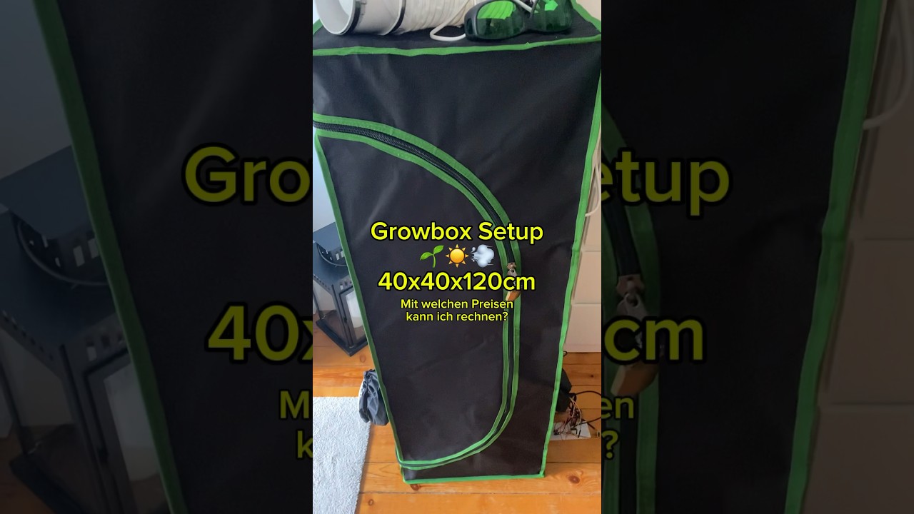 G&uuml;nstiges 40x40 Growsetup💰 #gardening #grow #diy #plants #germany #garden #growsetup
