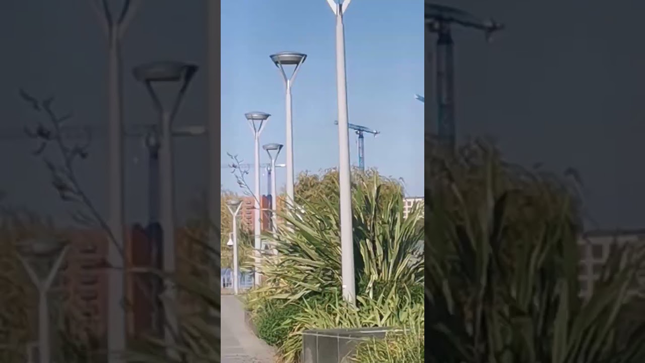 Beautiful Peninsula Gardens London 