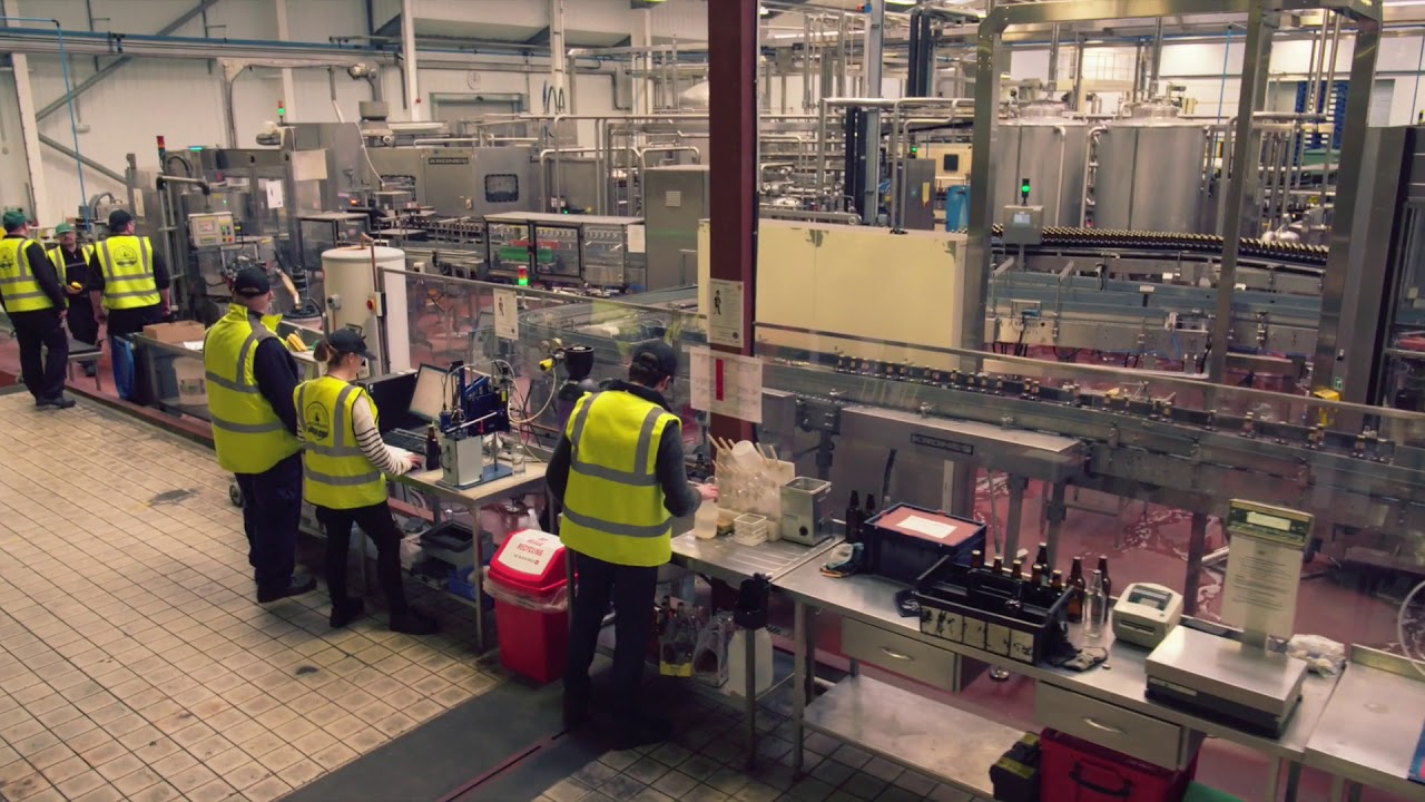 A day in the life of the Hall & Woodhouse Brewery