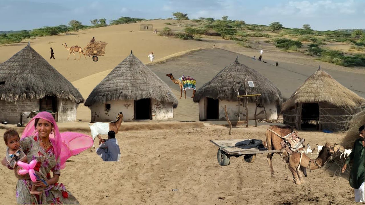 Thar Desert Woman Village Life Pakistan near Rann of Kutch | Traditional Life | Thar of Pakistan