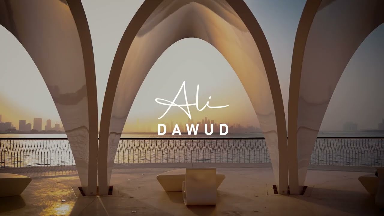 Ali Dawud - My Way (Official Video)