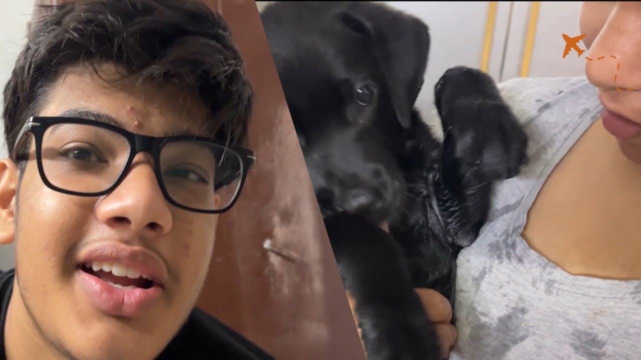 Bhai vs Whiskey Dog - Kaun Jeeta? (Spoiler: Dog Ne Jeet Liya! 🏆)