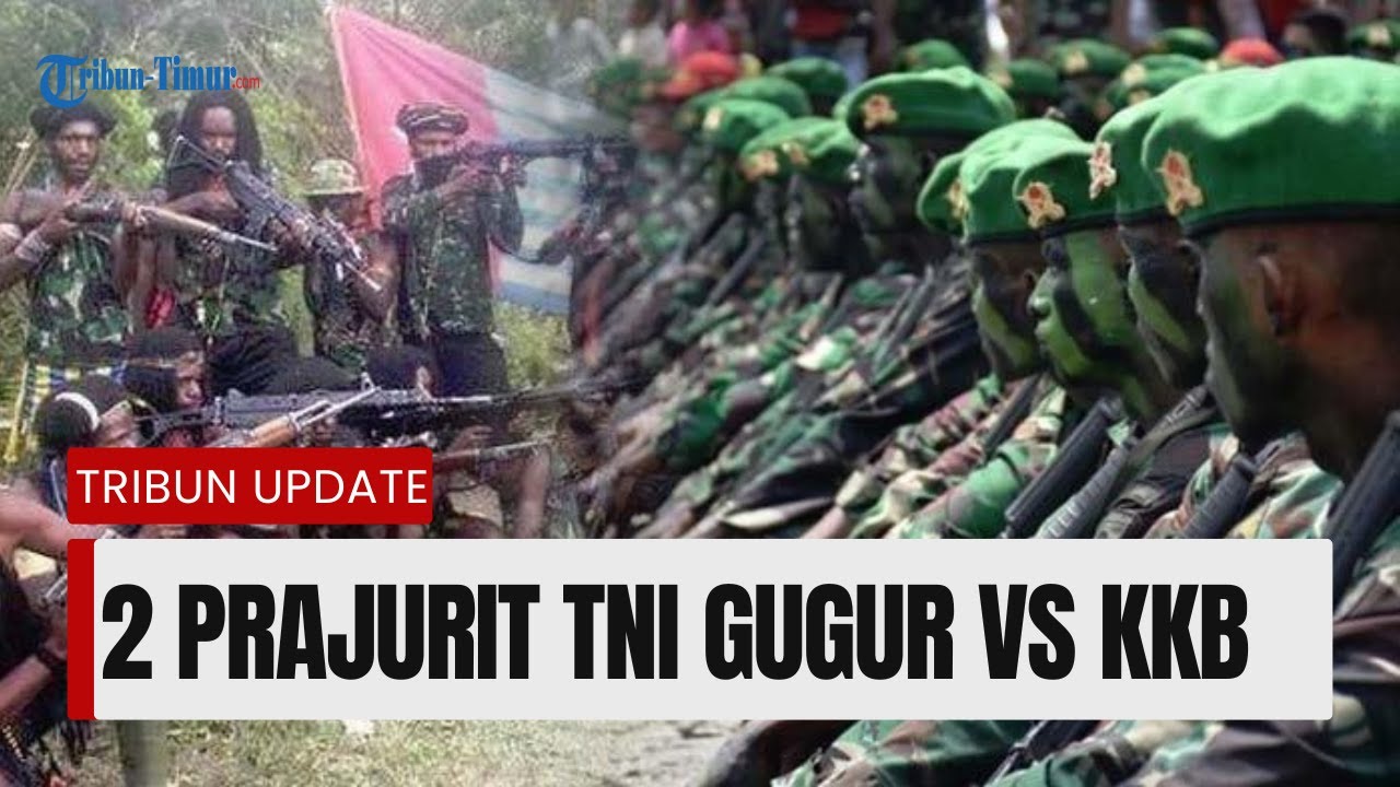 2 Prajurit TNI Gugur Ditembak KKB Papua, Senjata Dirampas
