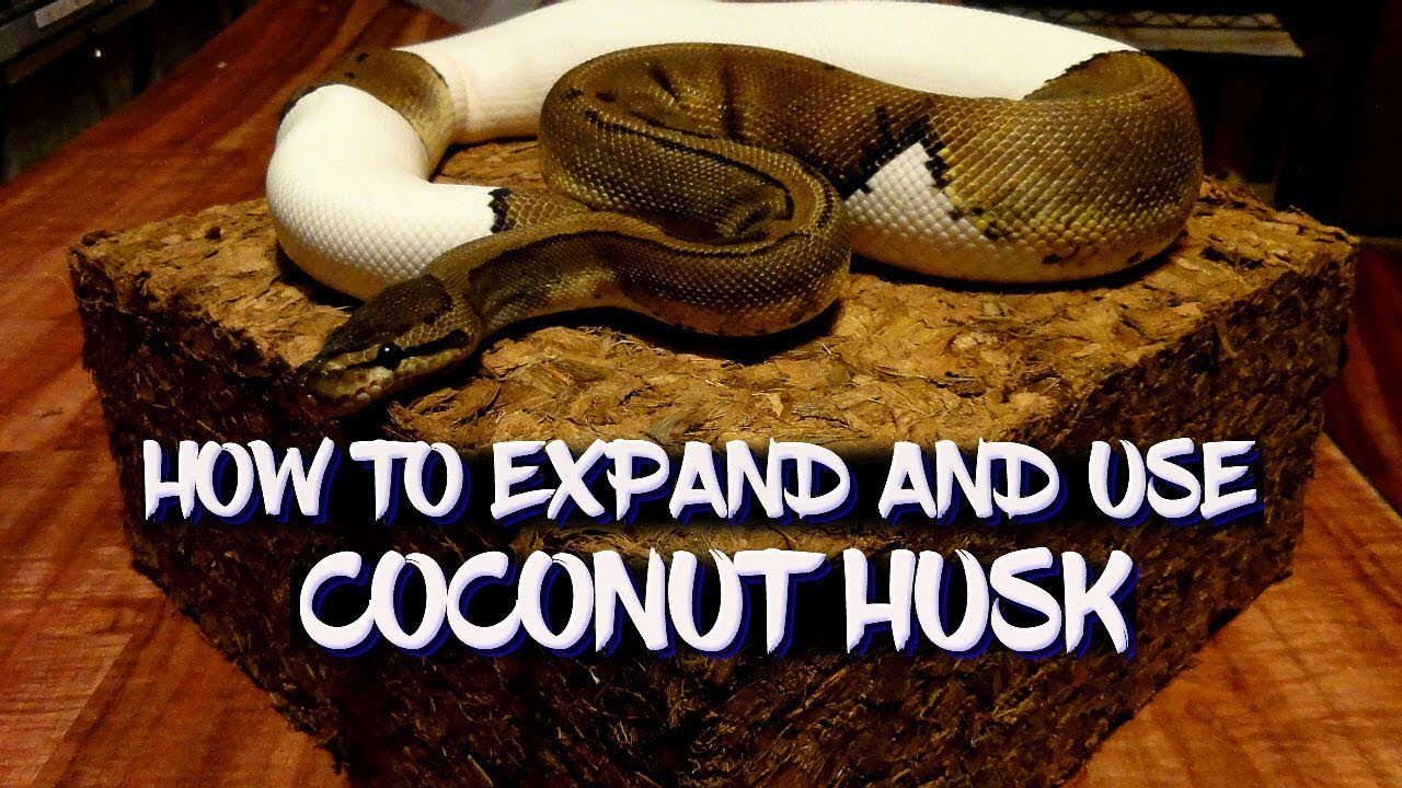 How to Expand and Use Coconut Husk