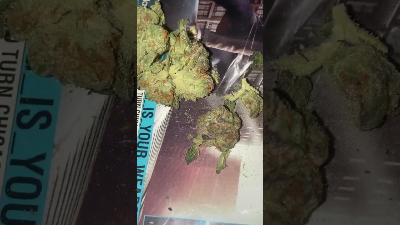 COMMON GOOD STRAWNANA 🍓 🍌 COOKIES 🍪 STRAIN  2024