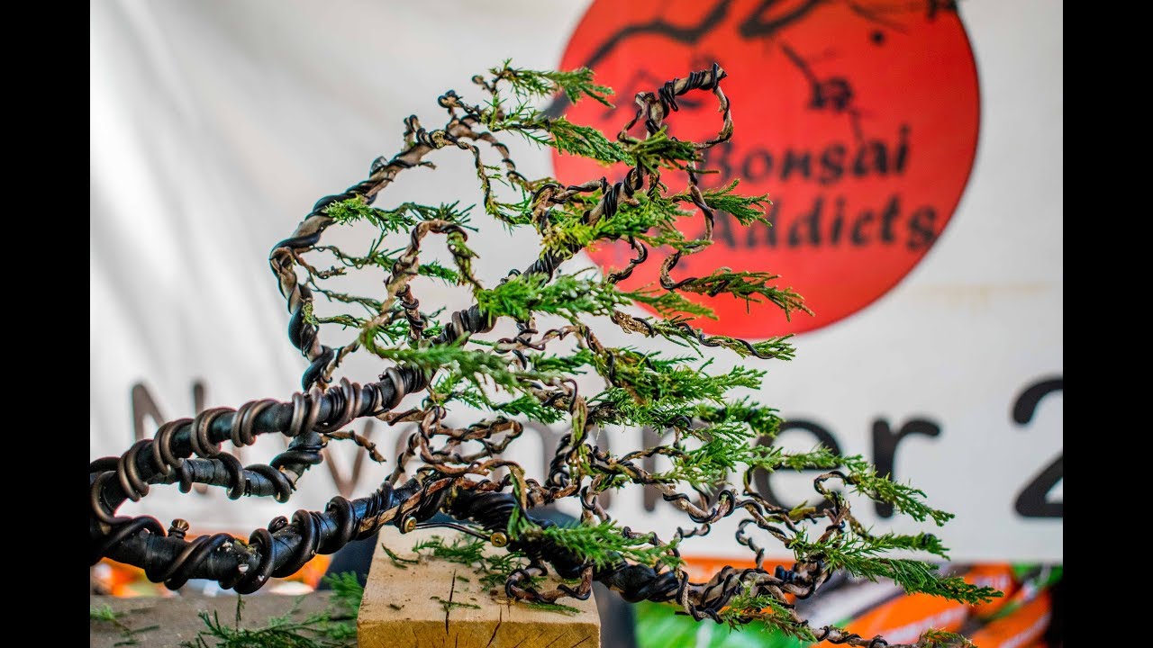 Raft Style Bonsai Demonstration with Antony Smith