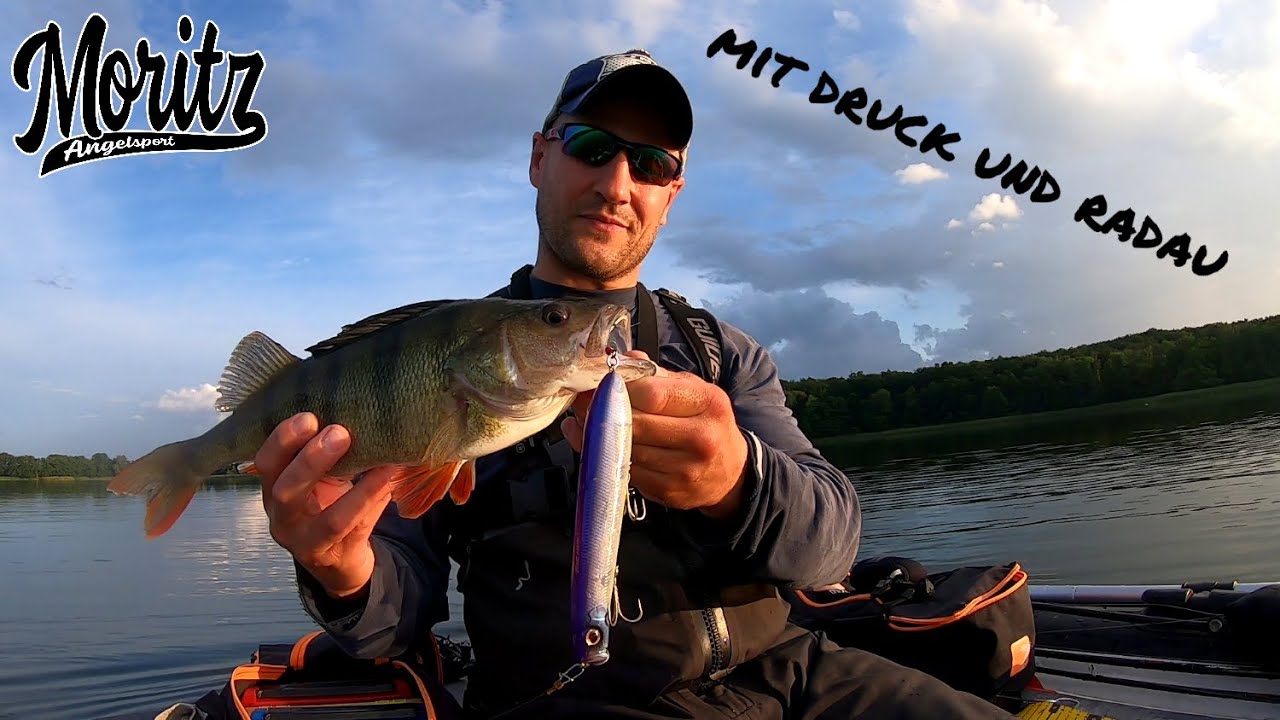 Mit Druck und Radau - Crank-  und Topwaterbaits bringen`s!