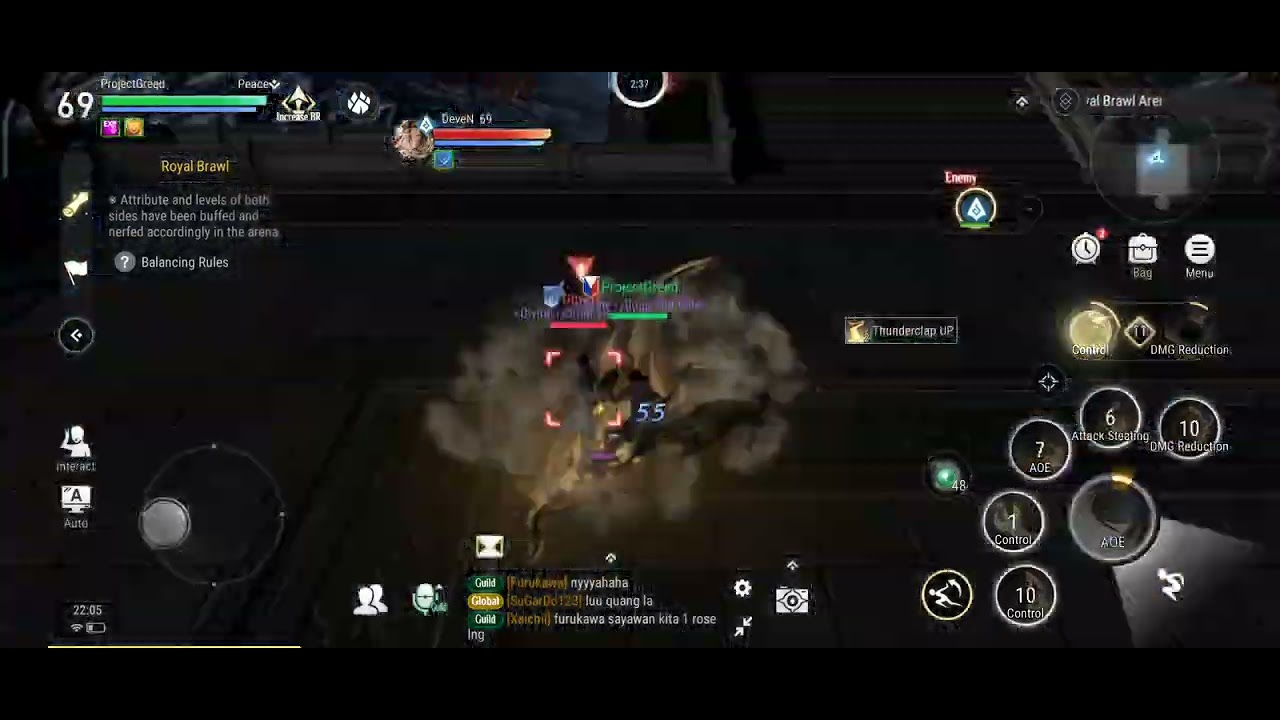 Revelation : infinite journey Royal Brawl Paladin pvp