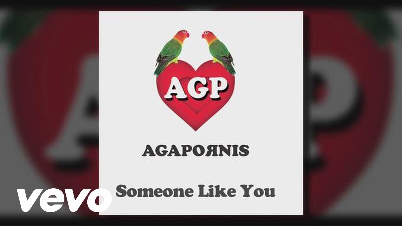 Agapornis - Someone Like You (Pseudo Video)