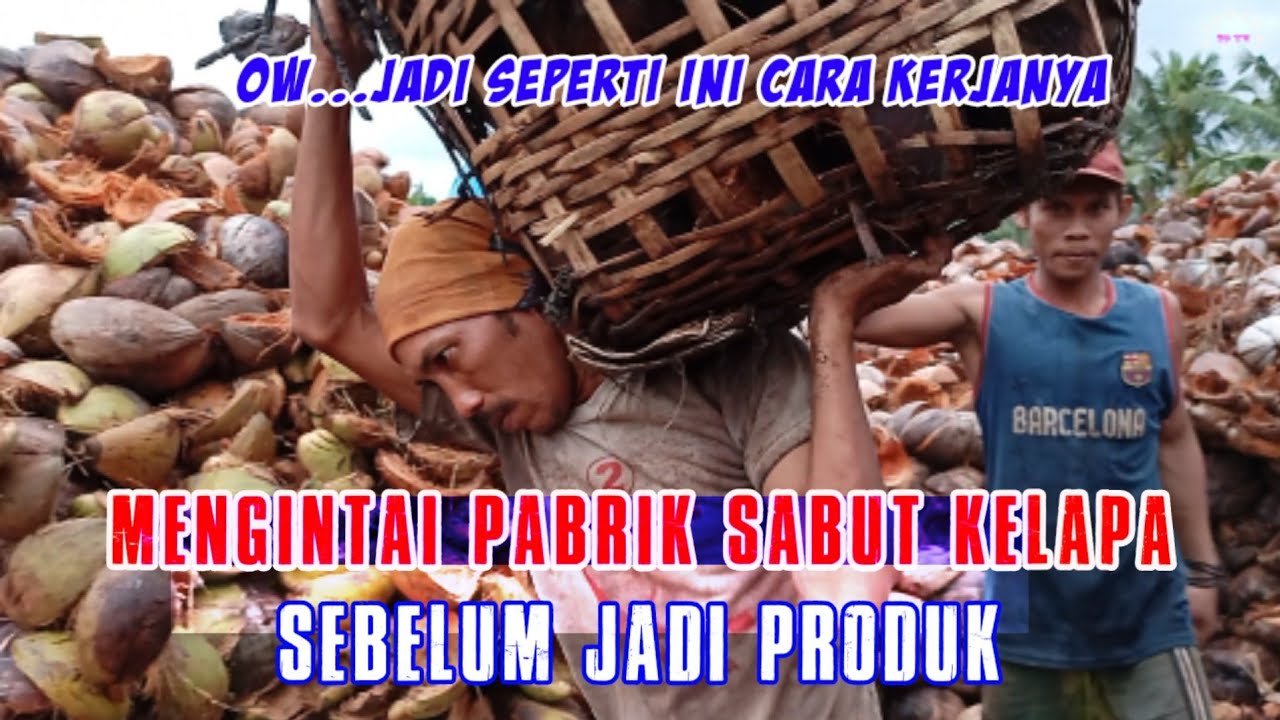Alat Tradisional Pengurai Sabut Kelapa | #cocofiber#cocopeat