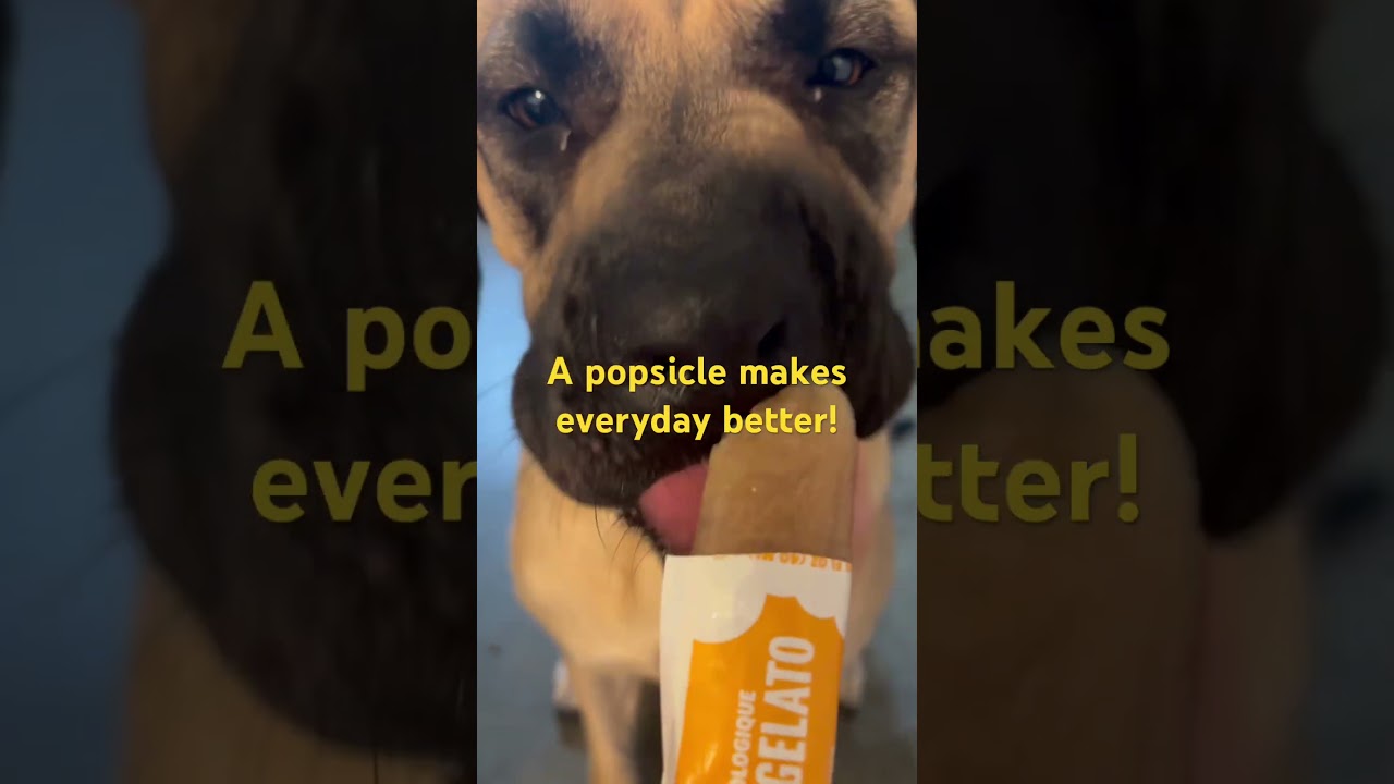 Sadie LOVES popsicles!