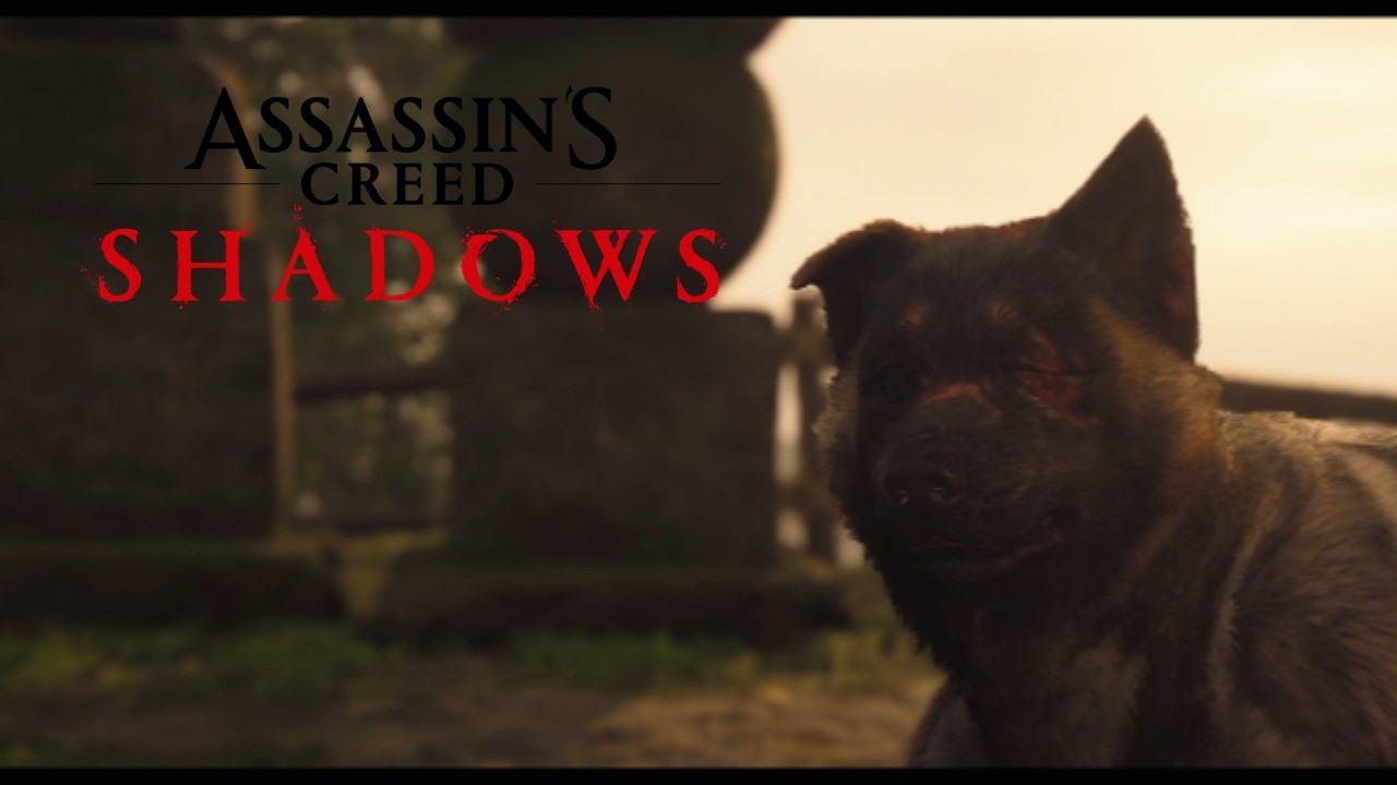 assassins creed shadows but the game lags consistently
