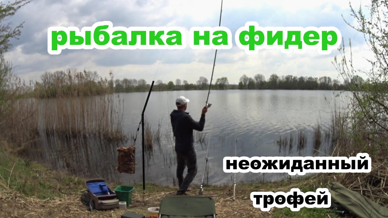 Рыбалка на фидер весной . неожиданный трофей на рыбалке. рыбалка на закидушки 2023