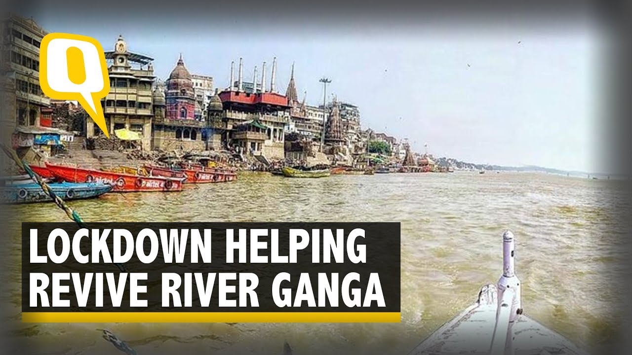 Amid COVID-19 Lockdown, Health of River Ganga Improves | The Quint