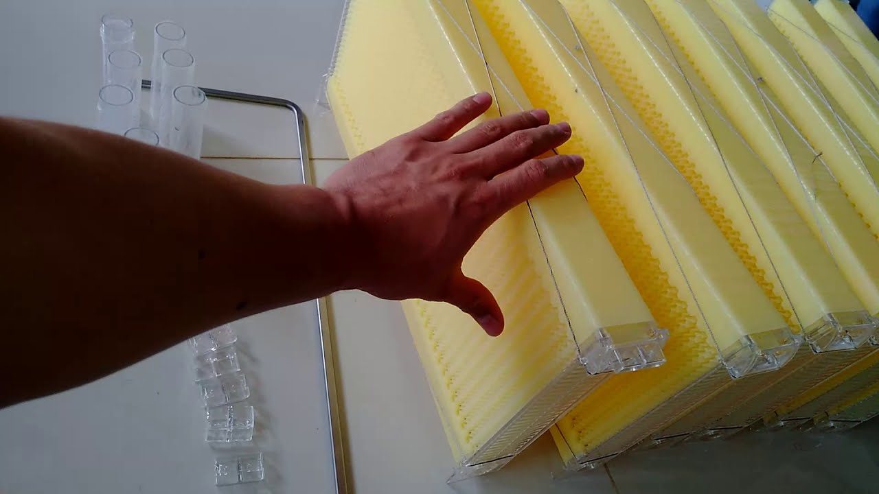 Primera Colmena de Flujo en Colombia Flow Hive Colombia