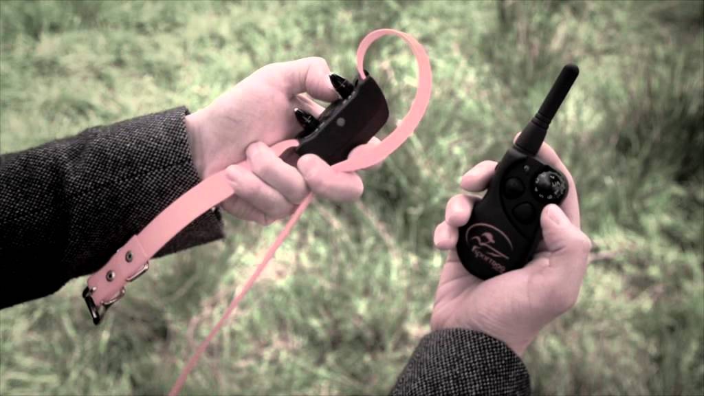 SportTrainer® SD-425E & SD-825E - Adding Dogs